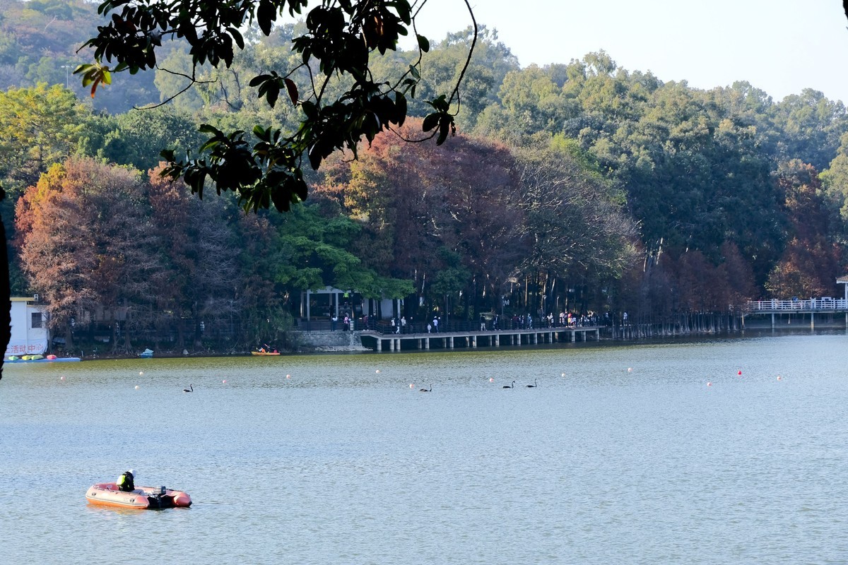 麓湖公园冬日景色