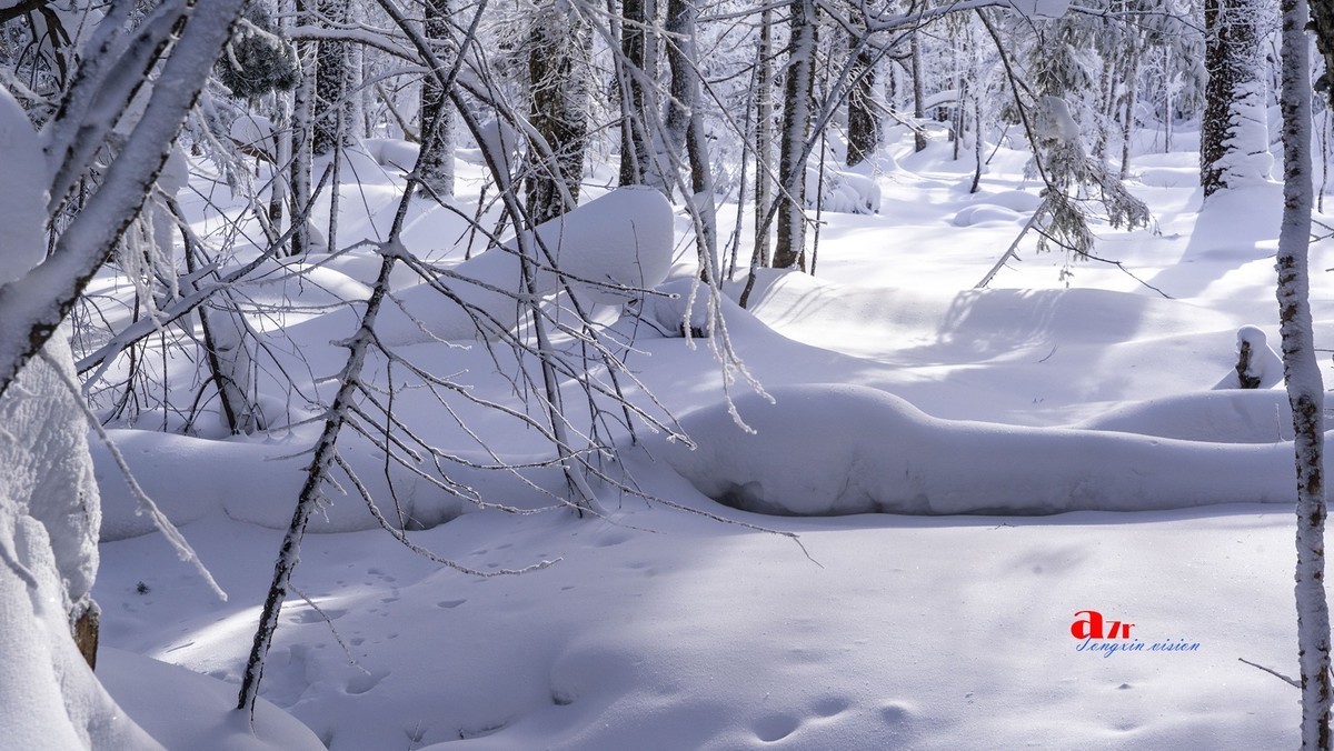 老克里湖林海雪原（37）