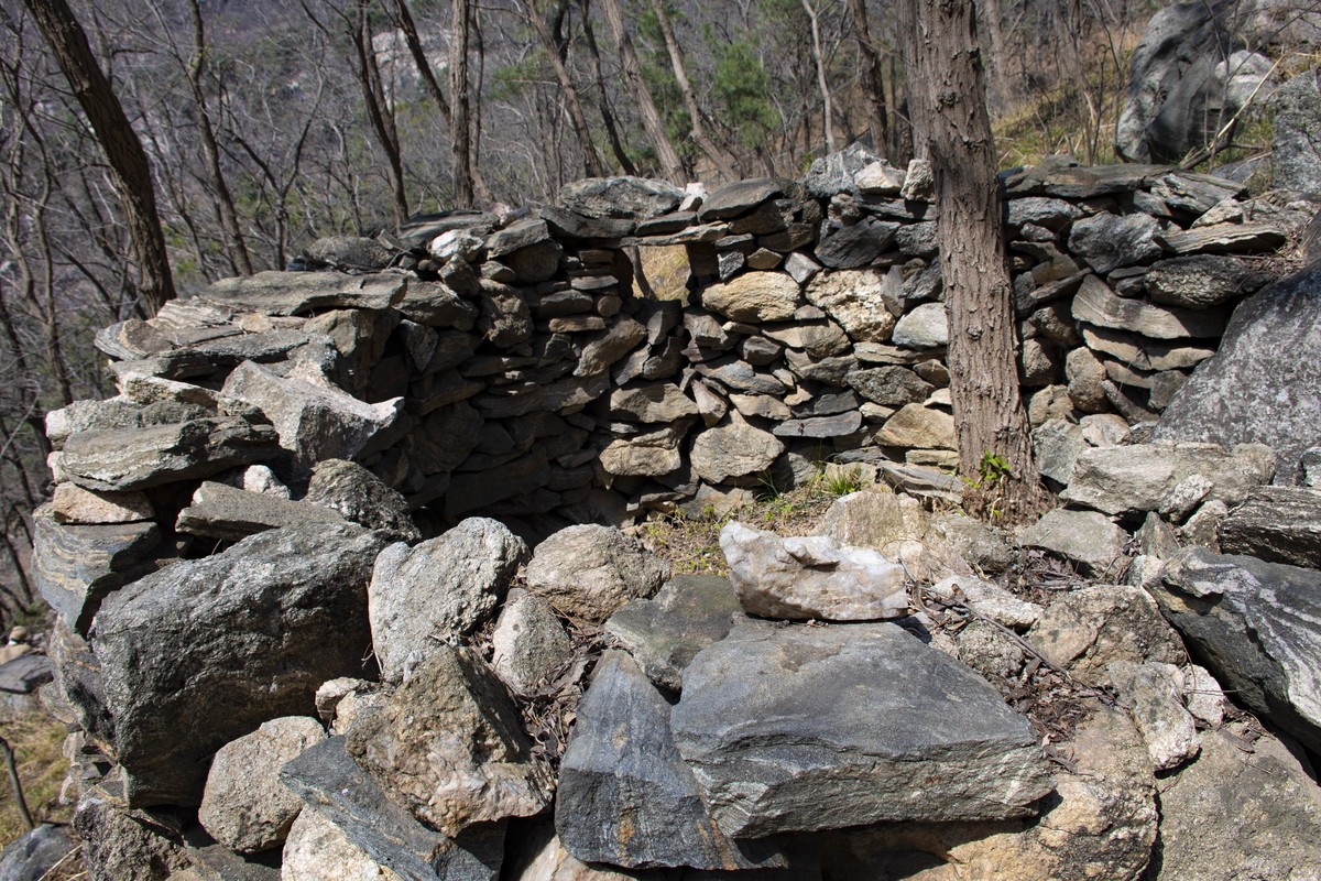 拍照狂魔之英雄孟良崮一【10P】