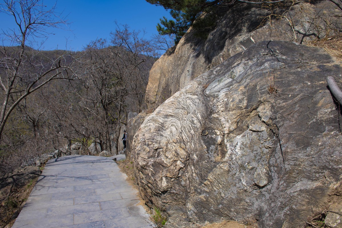 拍照狂魔之英雄孟良崮一【10P】