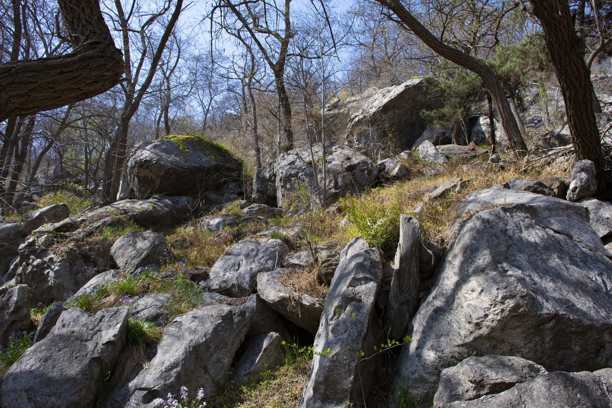 拍照狂魔之英雄孟良崮一【10P】