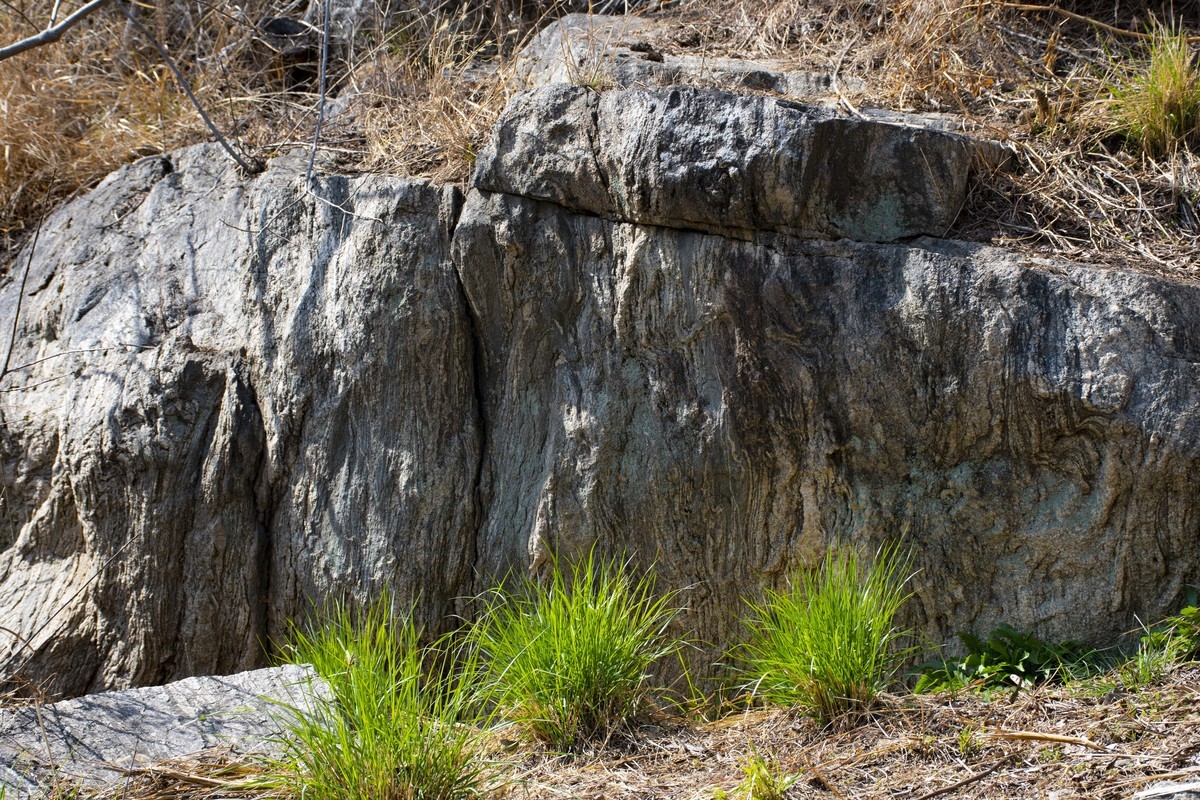 拍照狂魔之英雄孟良崮一【10P】