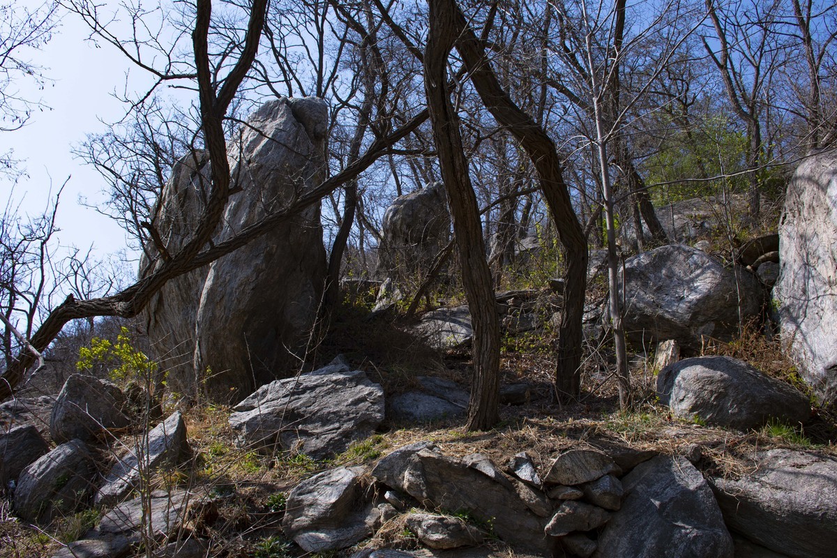 拍照狂魔之英雄孟良崮一【10P】