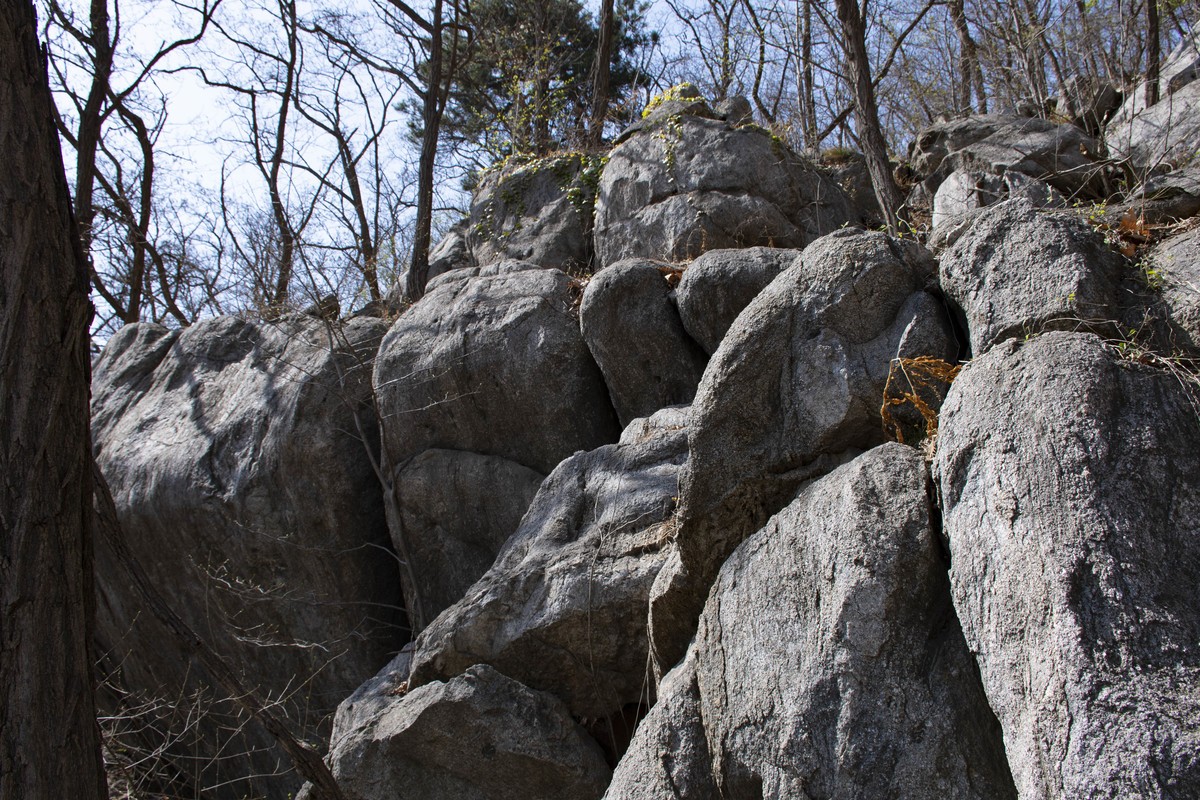 拍照狂魔之英雄孟良崮二【10P】