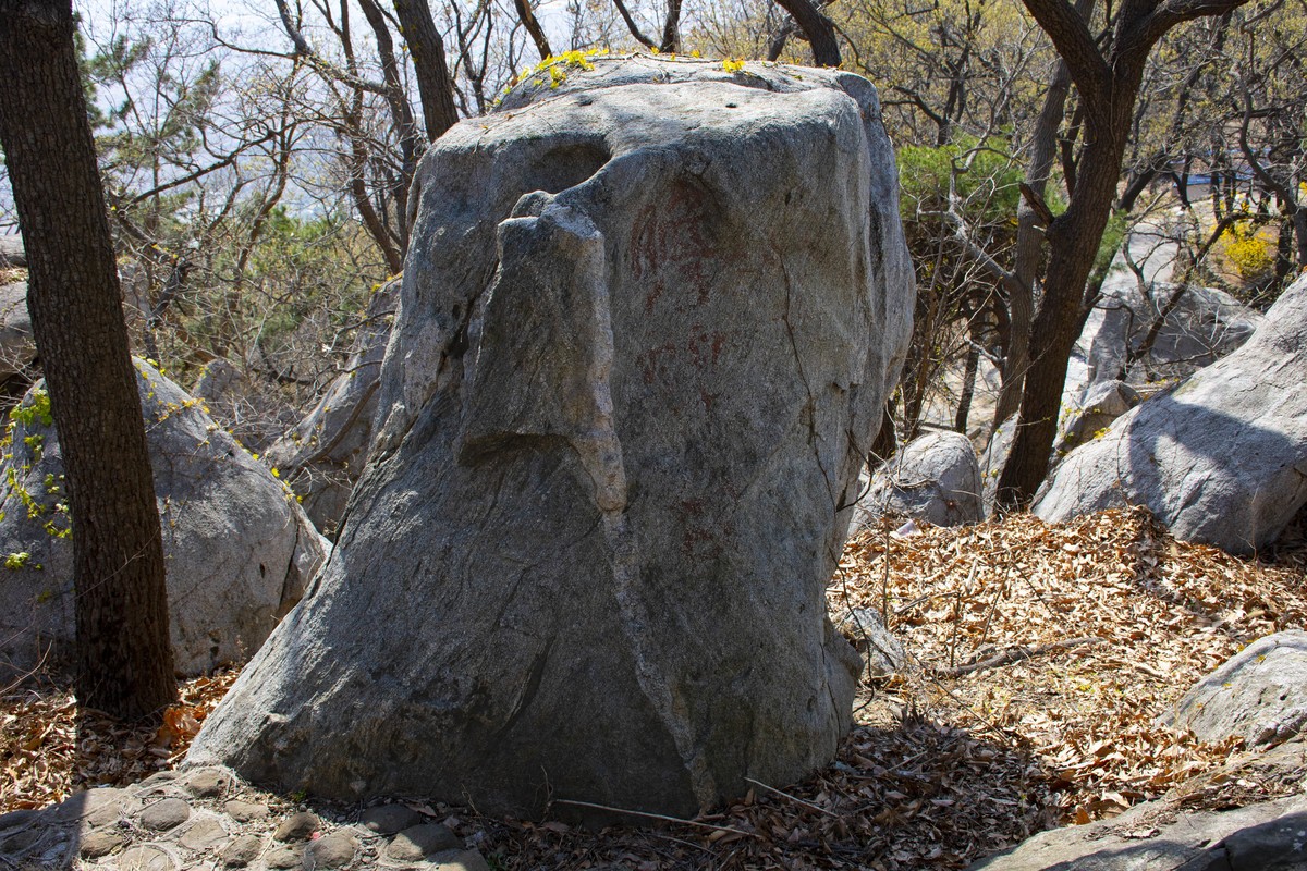 拍照狂魔之英雄孟良崮二【10P】