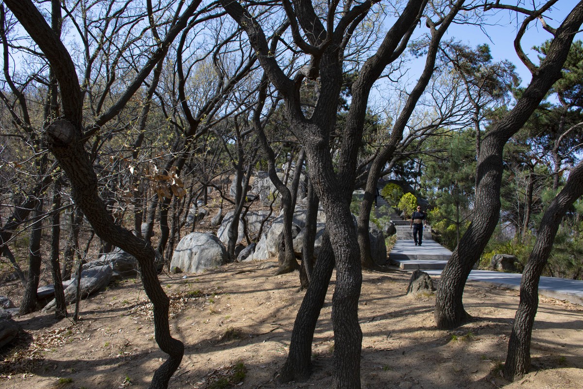 拍照狂魔之英雄孟良崮三【9P】