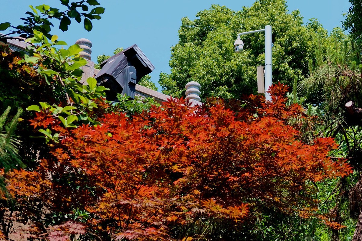 黄鹤楼（五续完）