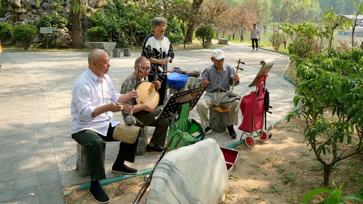 公园遛弯随手拍