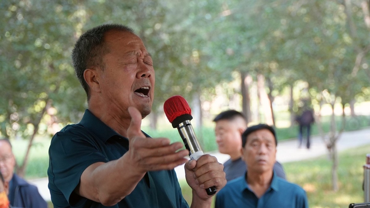 公园遛弯随手拍