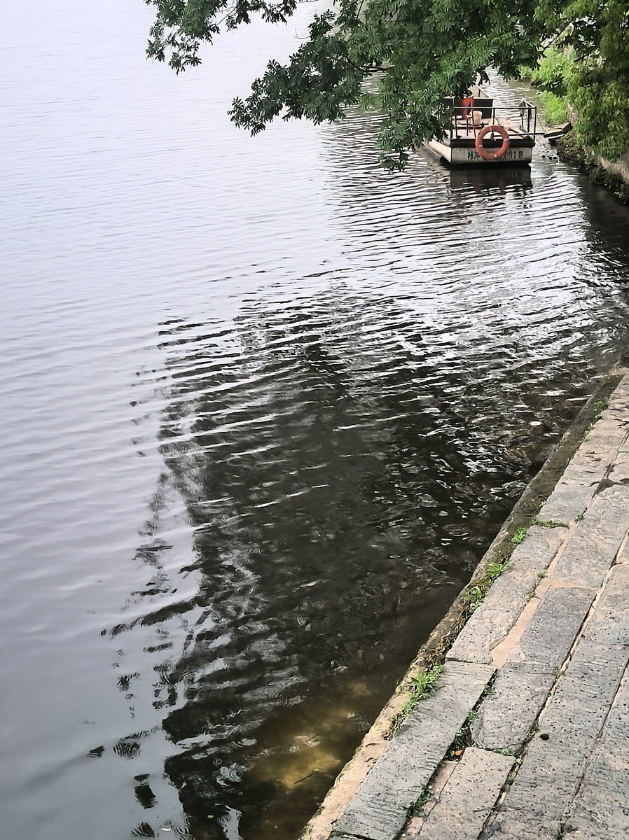 漫步星城 走街串巷（684）凉快一“夏”去枨冲