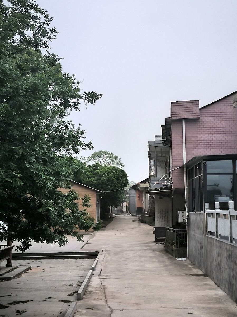 漫步星城 走街串巷（684）凉快一“夏”去枨冲