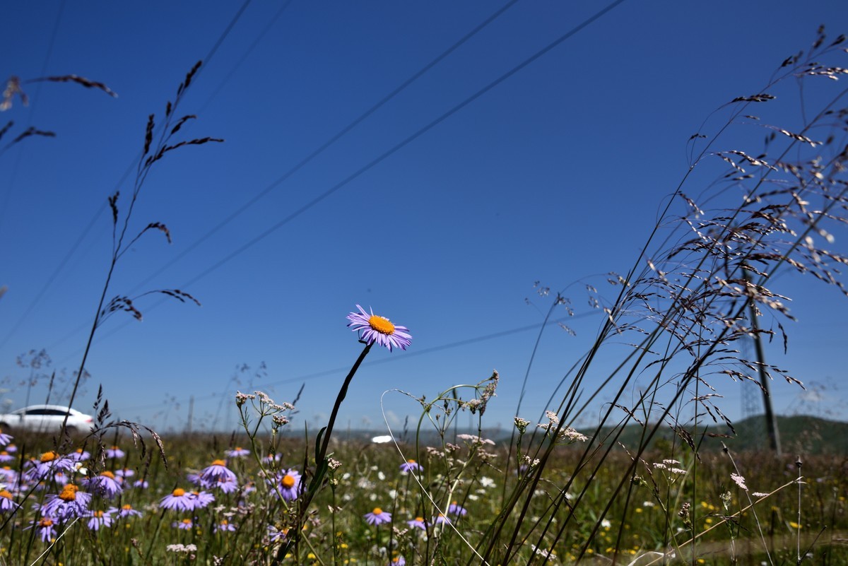 仲夏川北行【1】