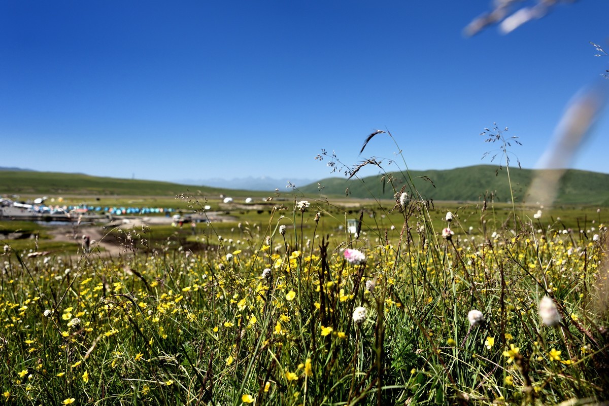 仲夏川北行【1】