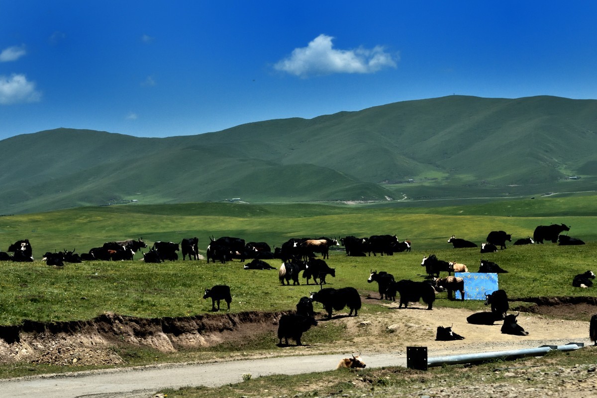 仲夏川北行【1】