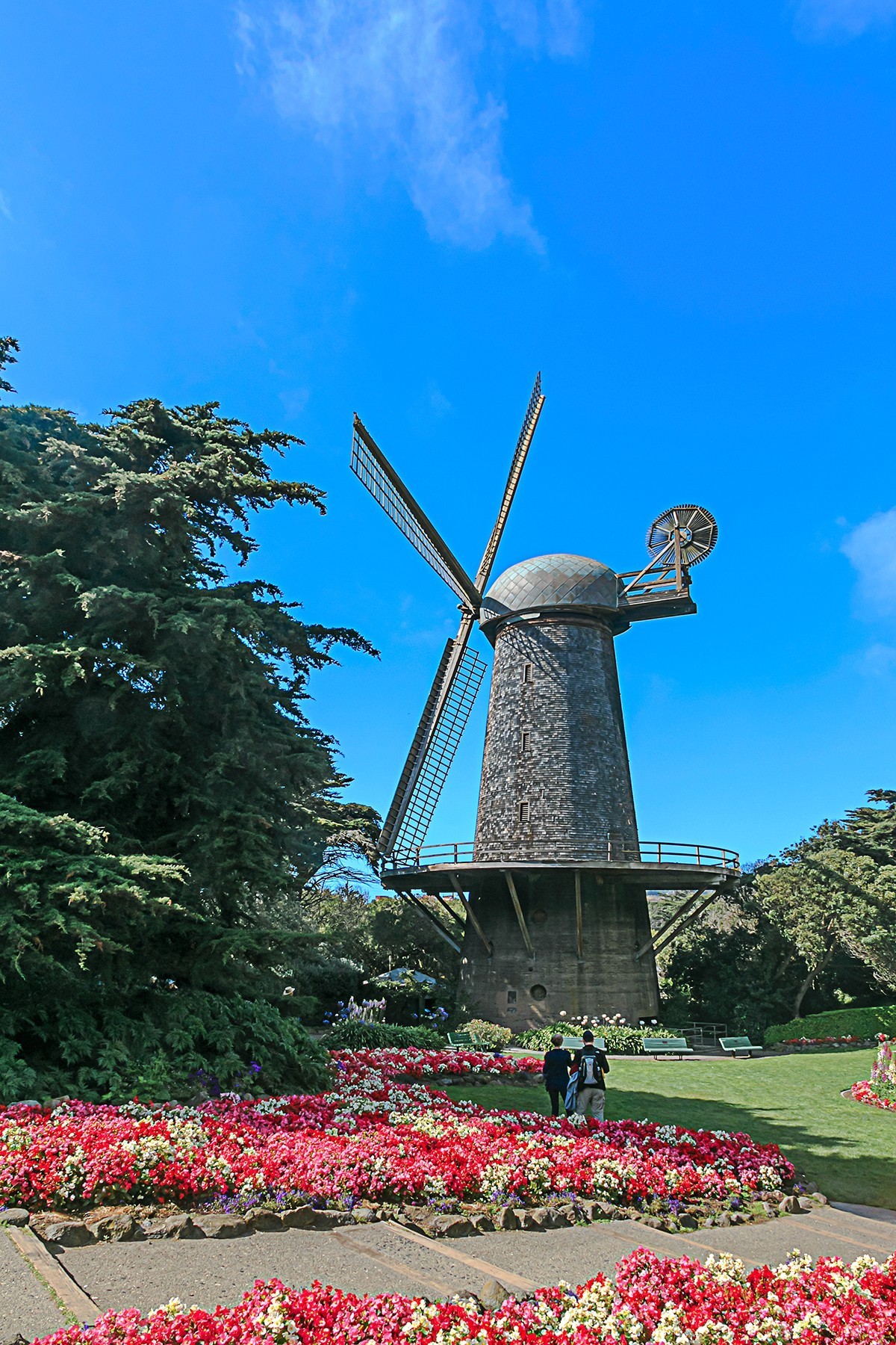 加拿大美国游记101美加利福尼亚州三藩市旧金山湾随拍