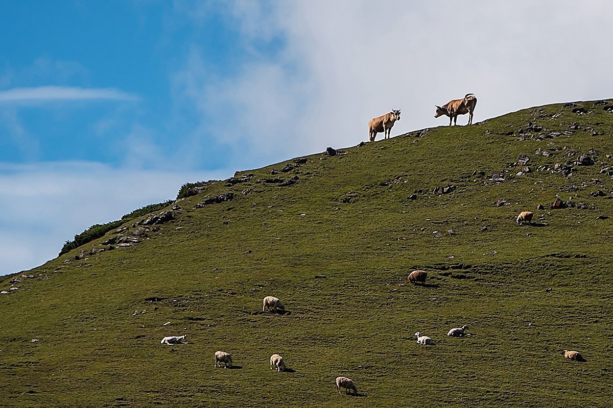 行在云端的伊昭公路 —2022新疆大、小独库公路自驾游见闻之一