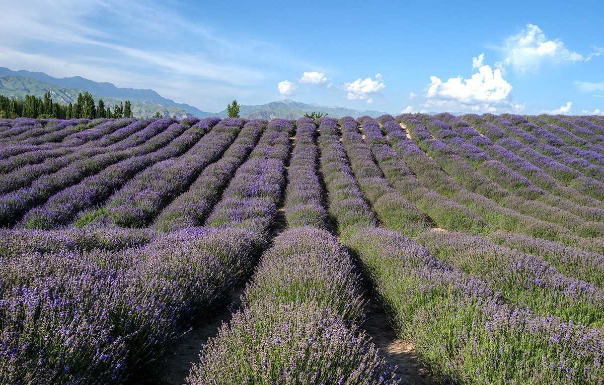 行在云端的伊昭公路 —2022新疆大、小独库公路自驾游见闻之一