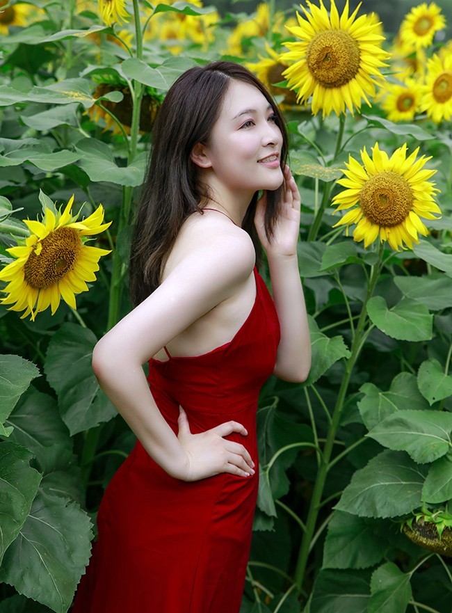 葵园里的红裙子