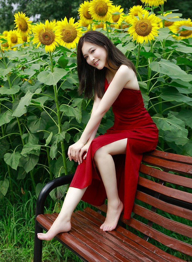 葵园里的红裙子