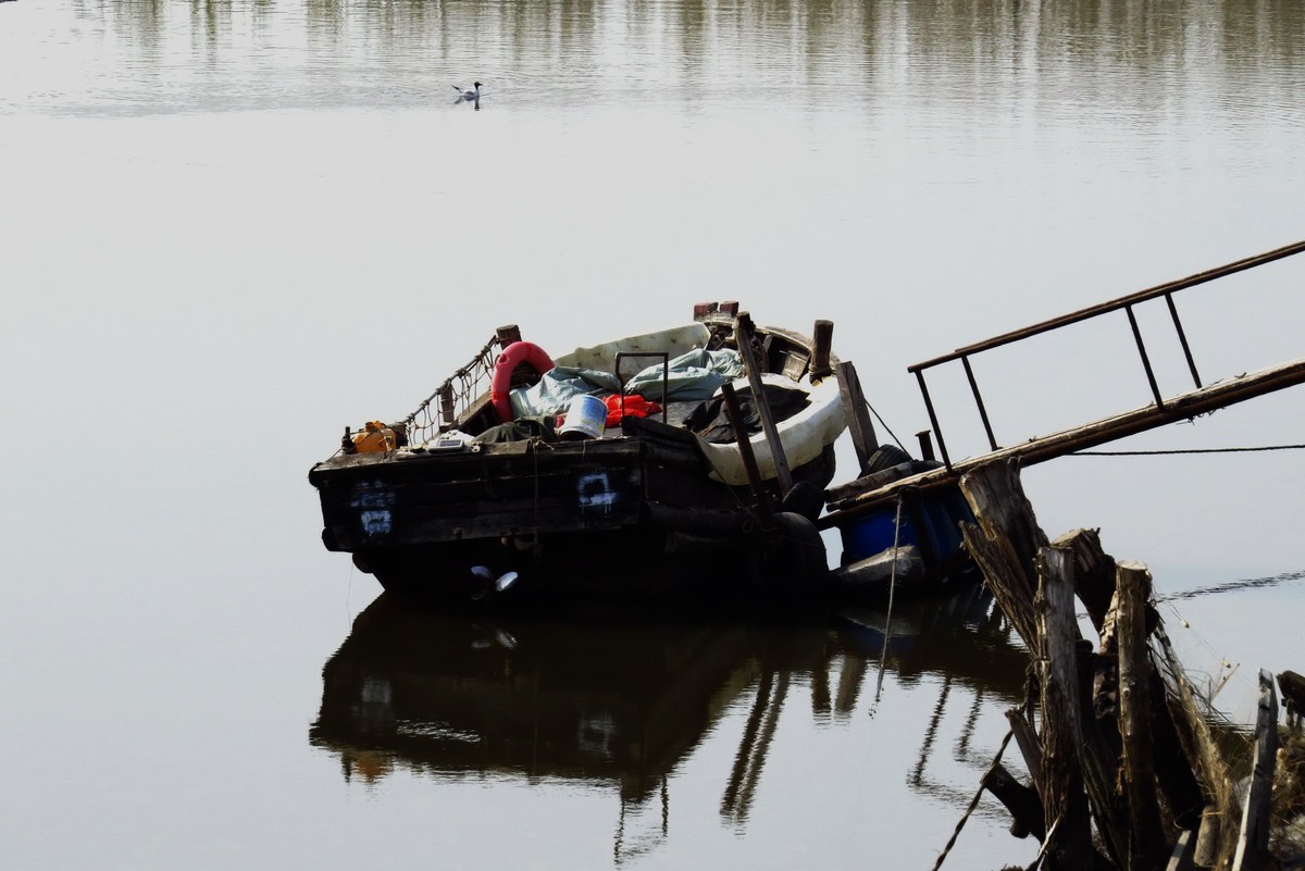 静静的四道沟渔港