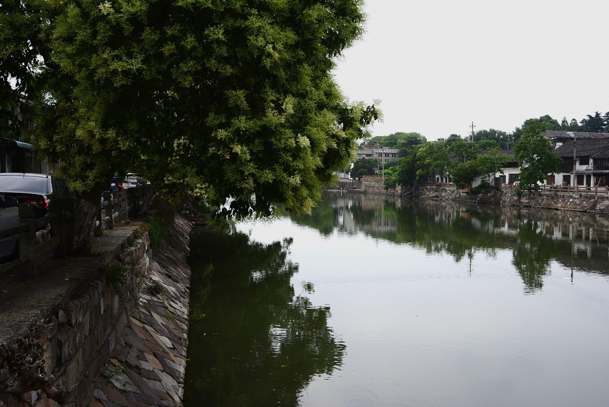 烟雨江南乌镇行