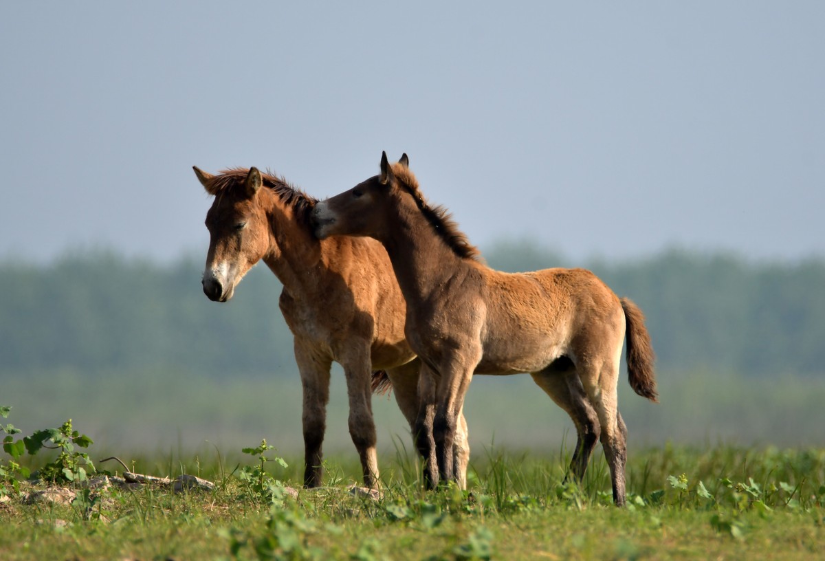 国庆节洞庭湖随拍