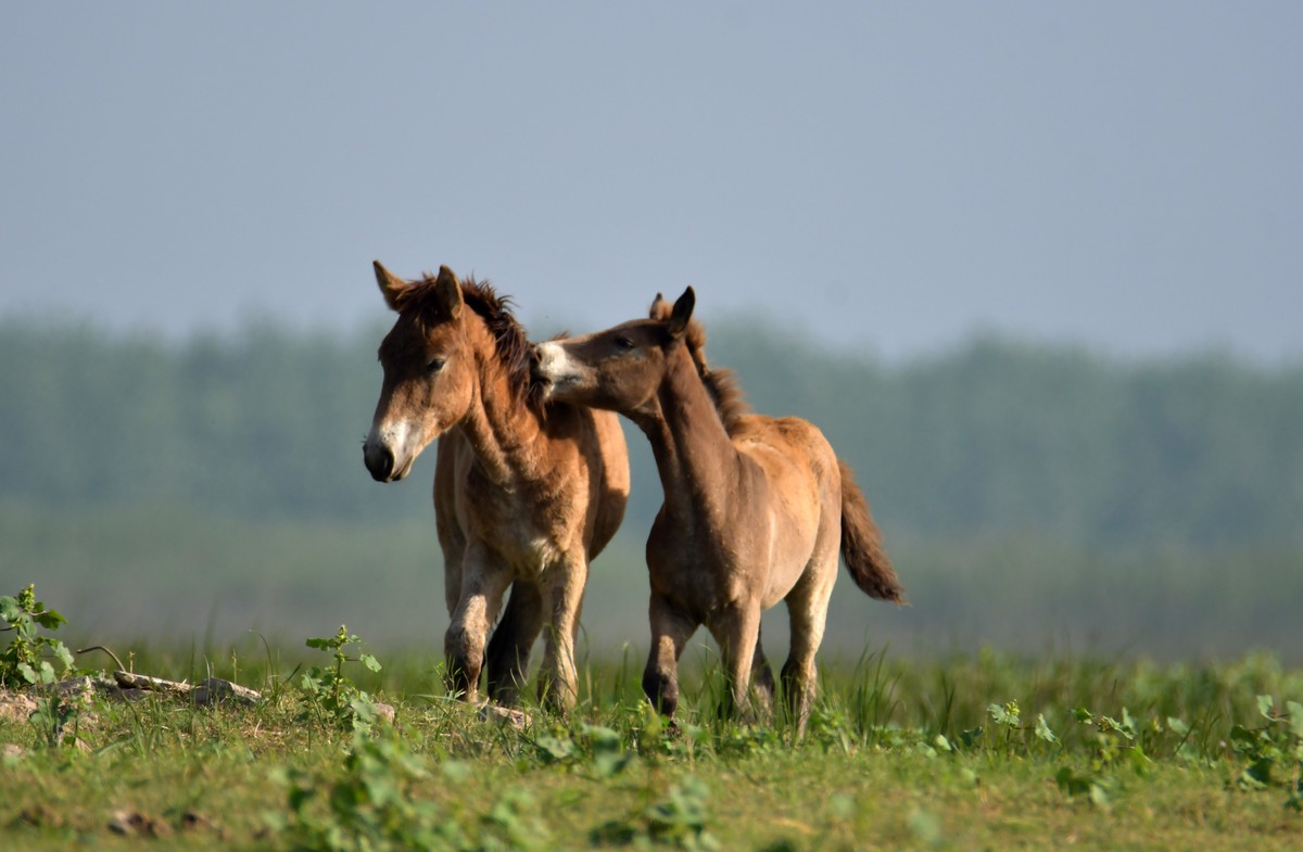 国庆节洞庭湖随拍