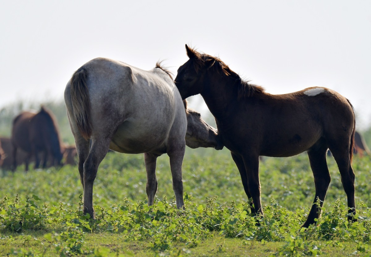 国庆节洞庭湖随拍