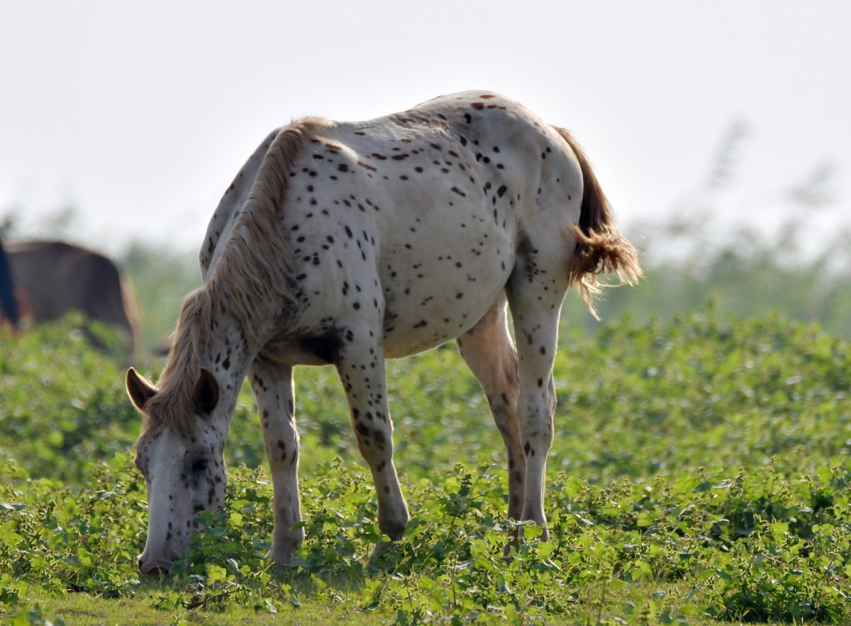 国庆节洞庭湖随拍