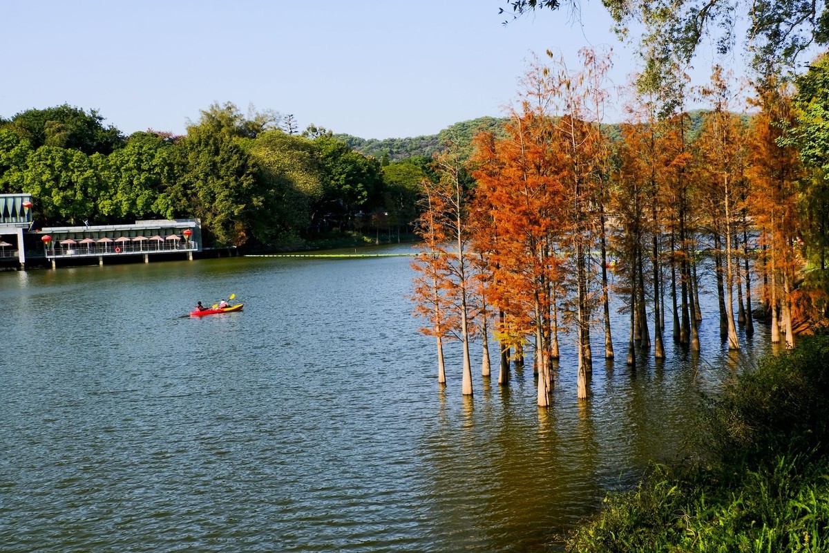 麓湖公园冬日景色