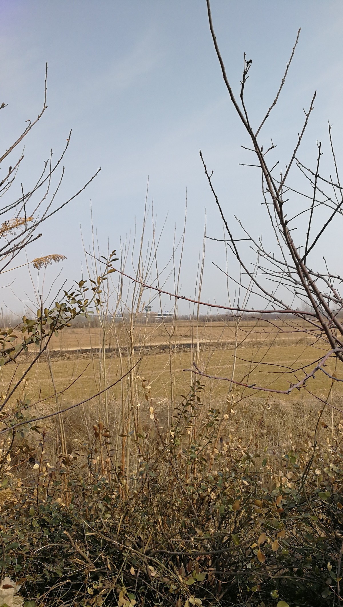 大河边的大碗面