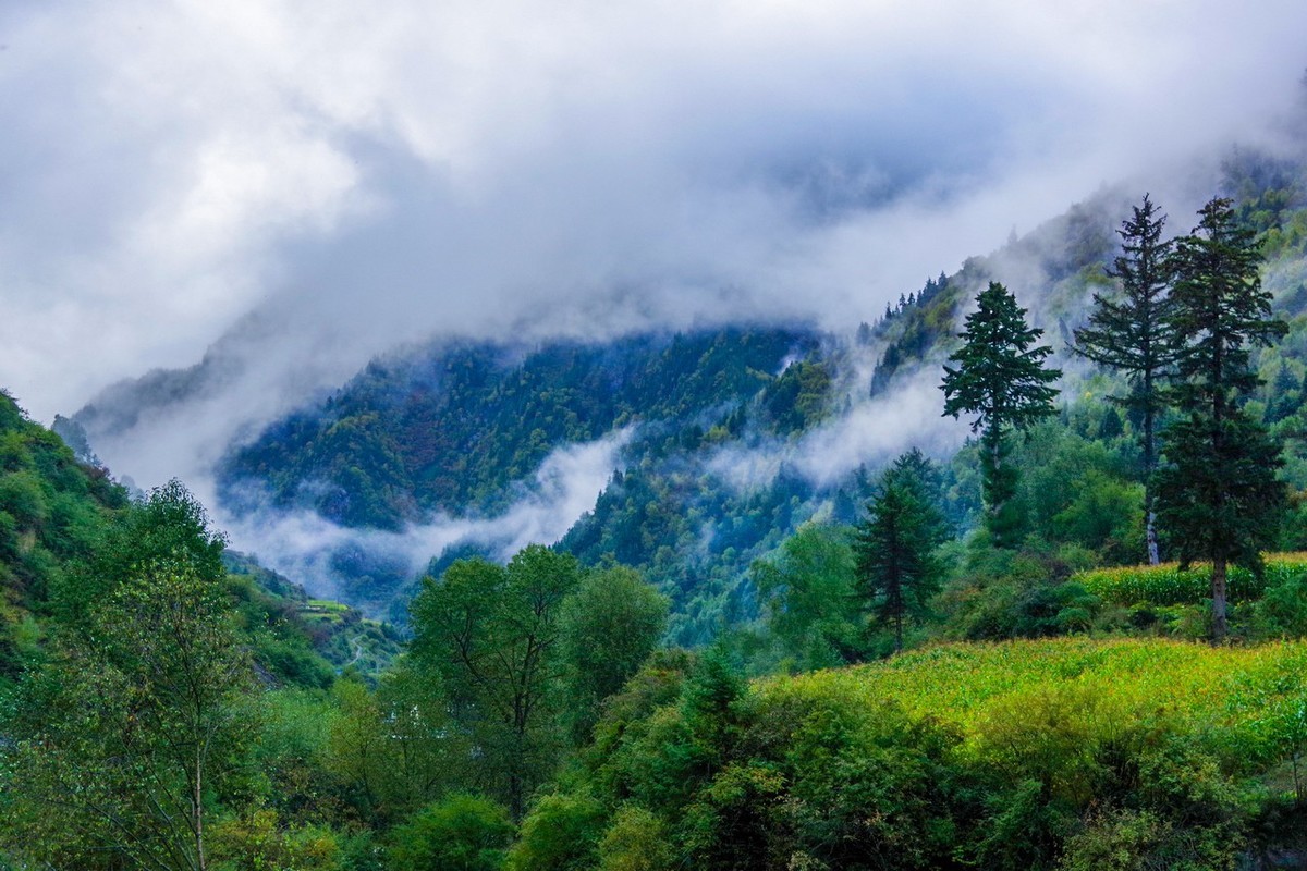 川西路上随拍（一）