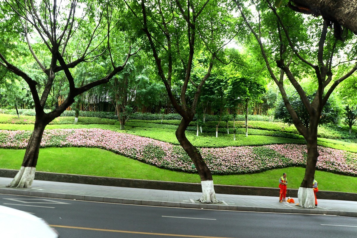 上清寺、中四路随拍(三)