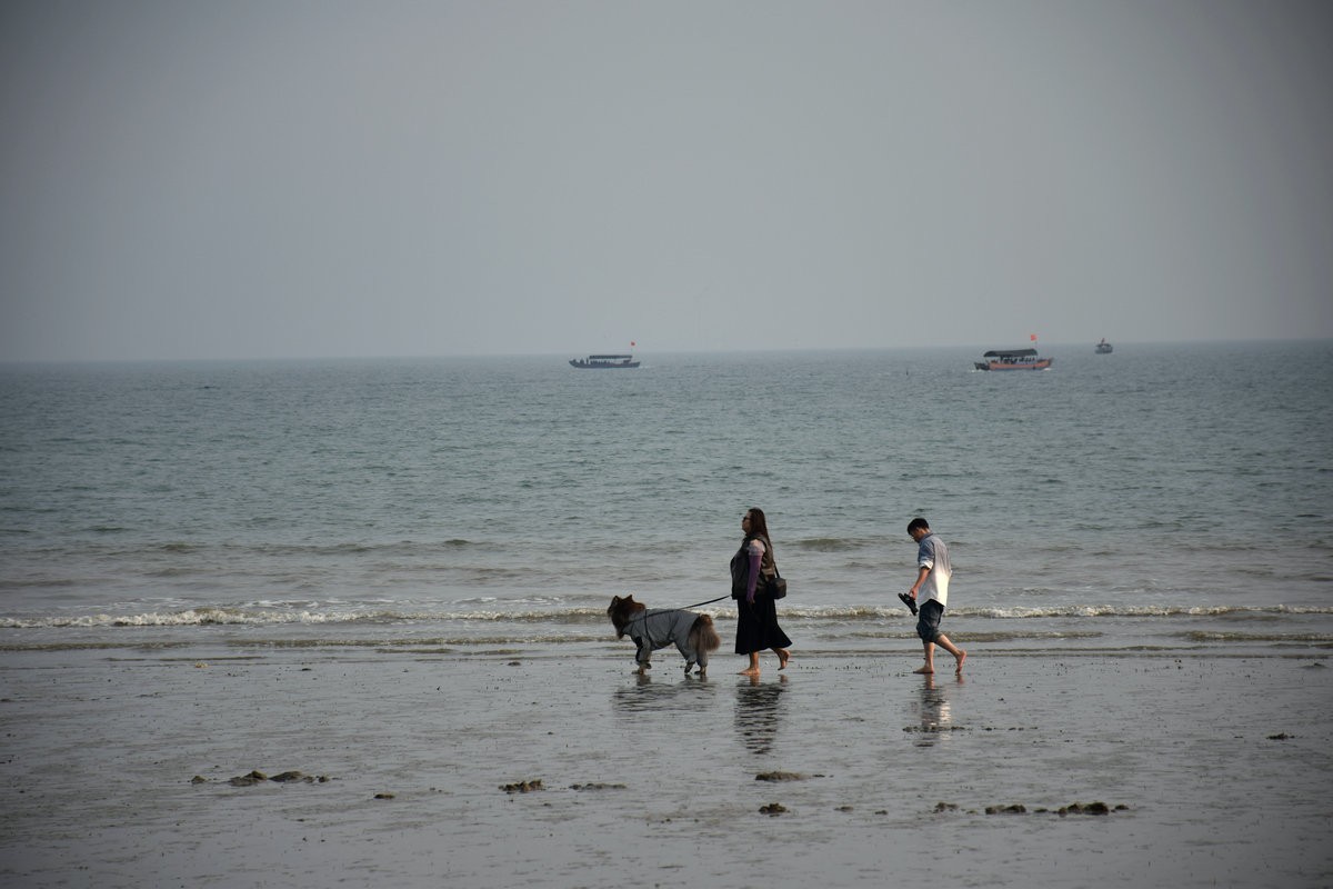 2024春节 滇桂沿边行（30）金灿灿的海滨