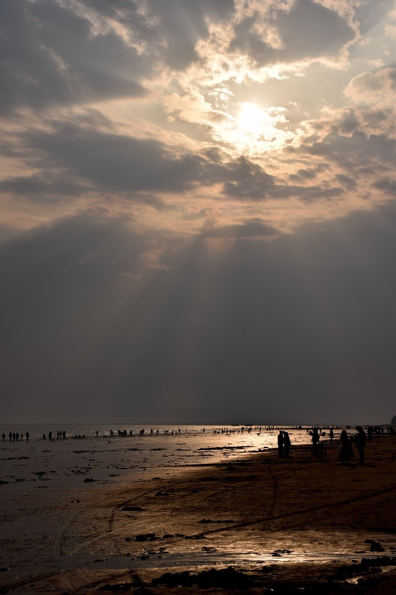 2024春节 滇桂沿边行（30）金灿灿的海滨