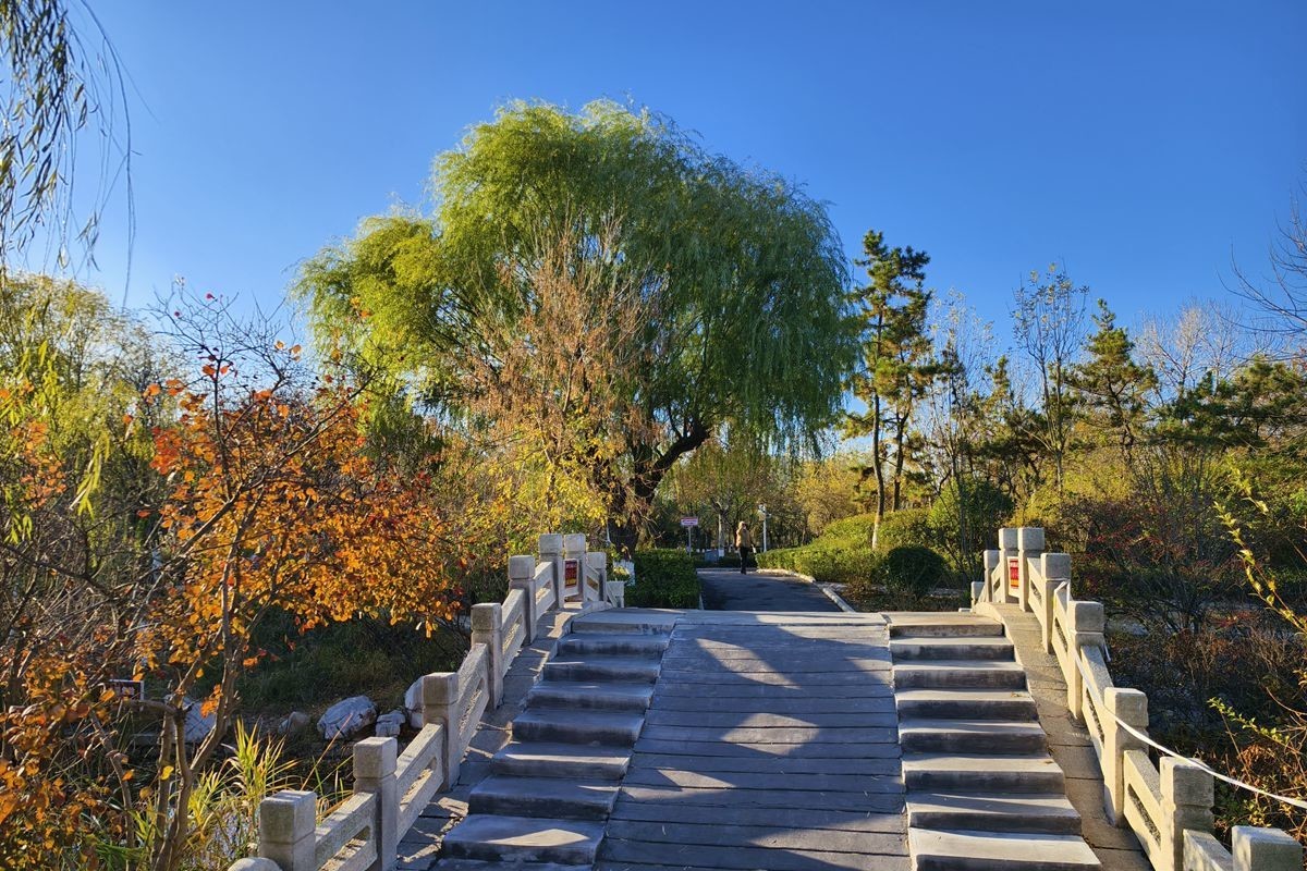 留住冬日里的秋色