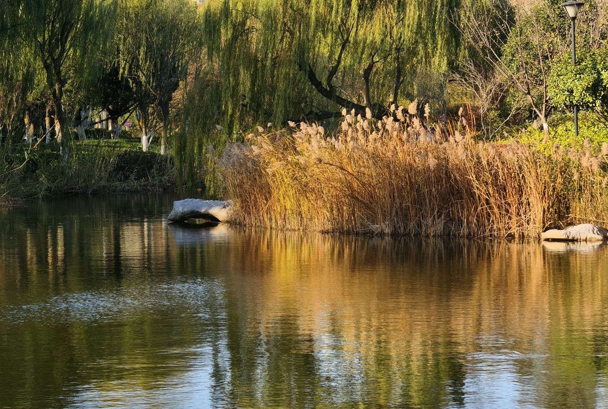 留住冬日里的秋色