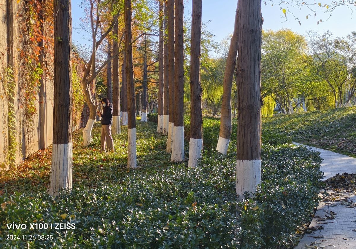 留住冬日里的秋色