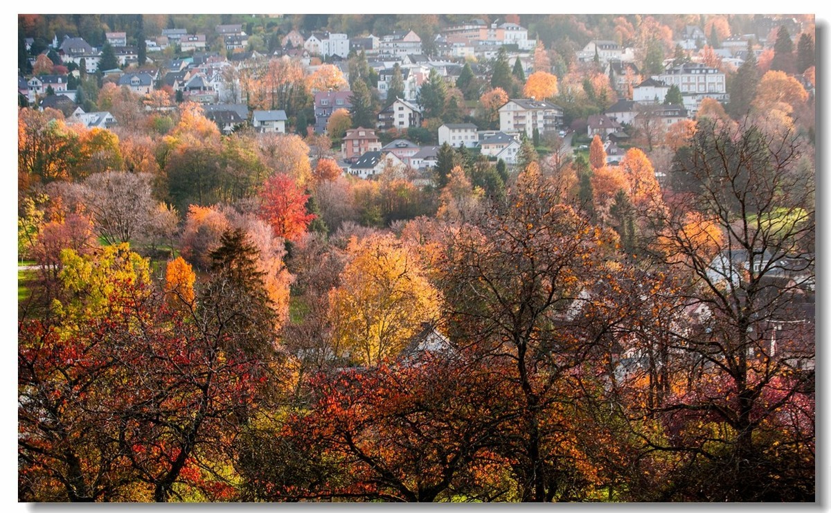 秋在“黑森林”（南德）