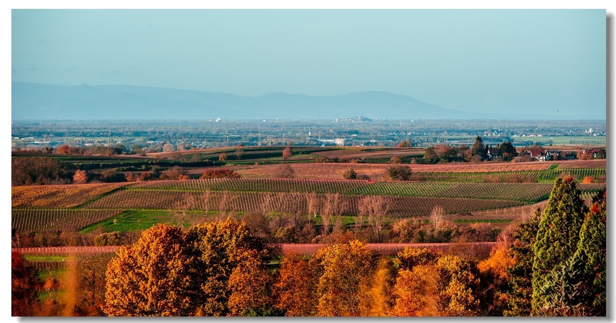 秋在“黑森林”（南德）