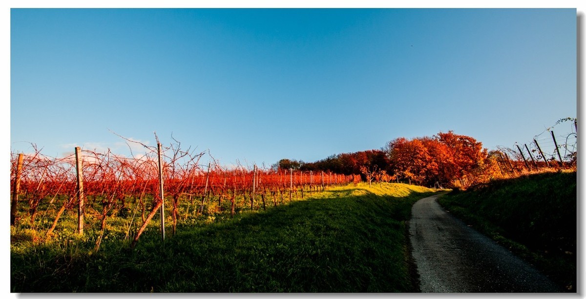 秋在“黑森林”（南德）