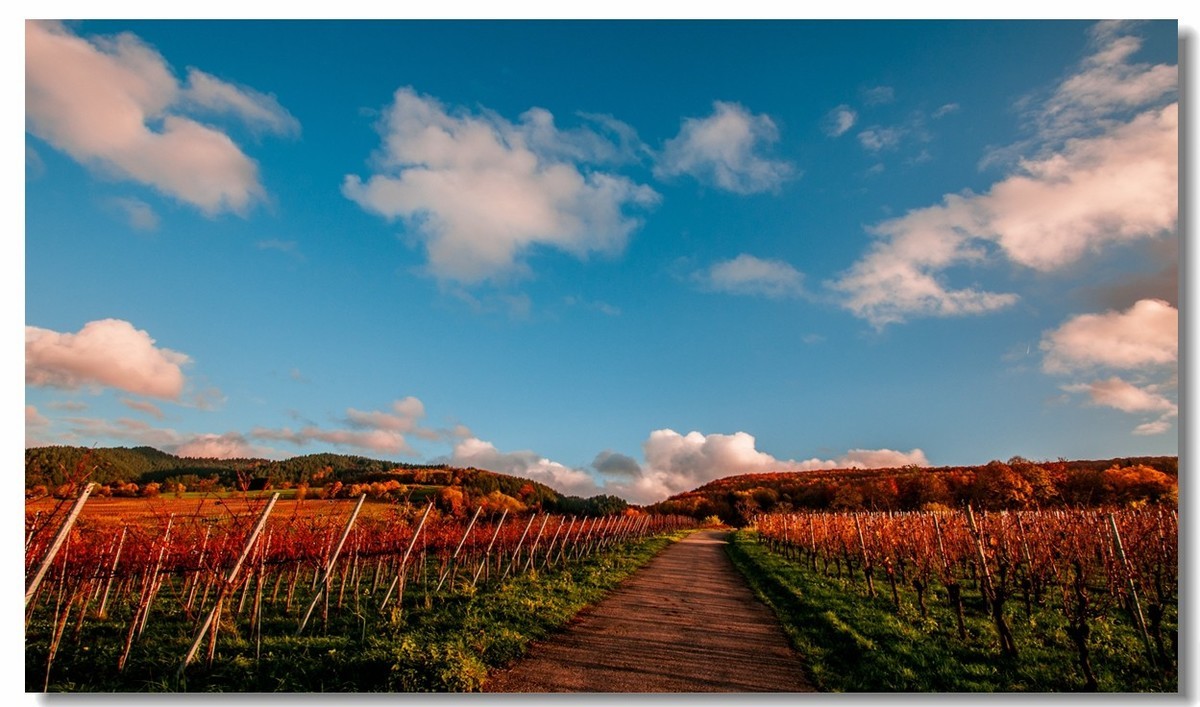 秋在“黑森林”（南德）