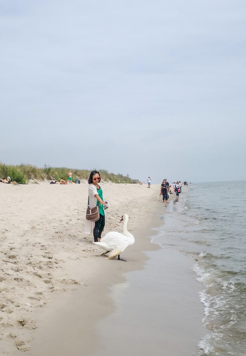 海滩留影（波兰之“希尔半岛”）