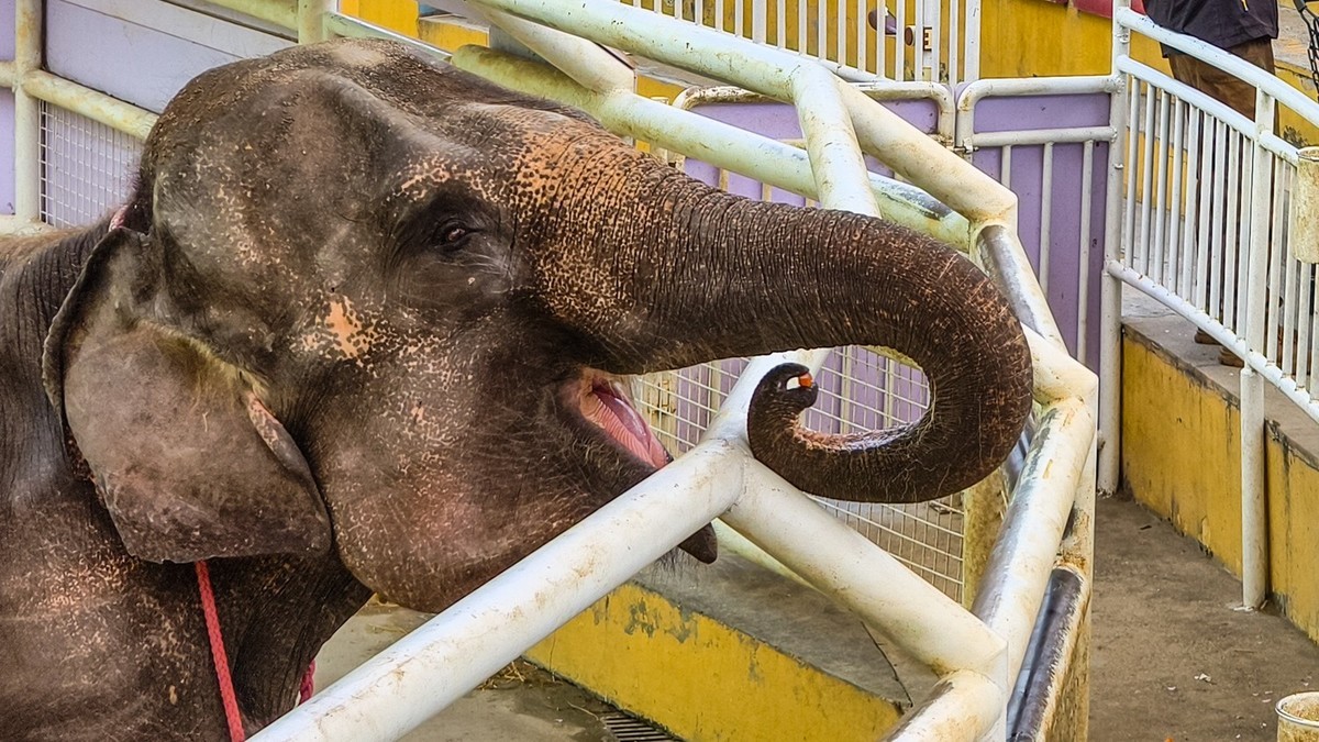 大 连 森 林 动 物 园 北 门 （ 二 ）