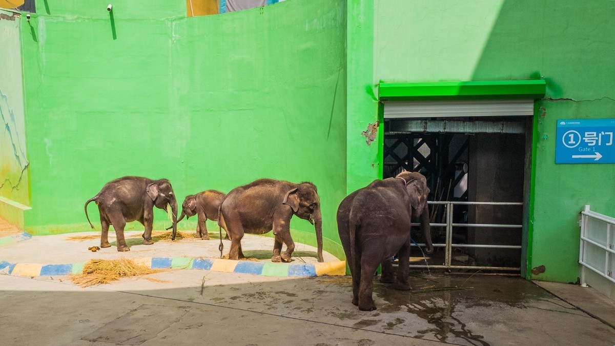 大 连 森 林 动 物 园 北 门 （ 二 ）