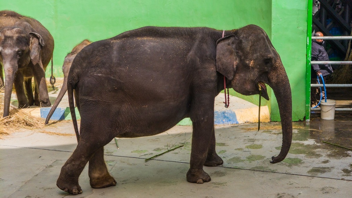 大 连 森 林 动 物 园 北 门 （ 二 ）