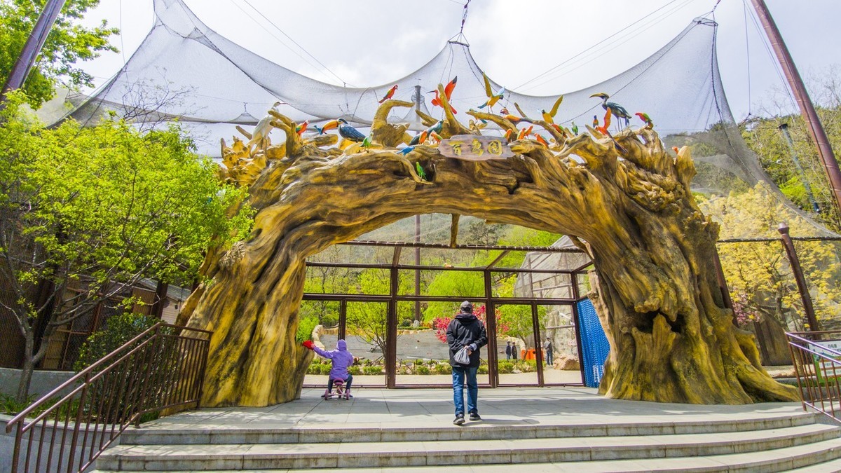 大 连 森 林 动 物 园 北 门 （ 二 ）