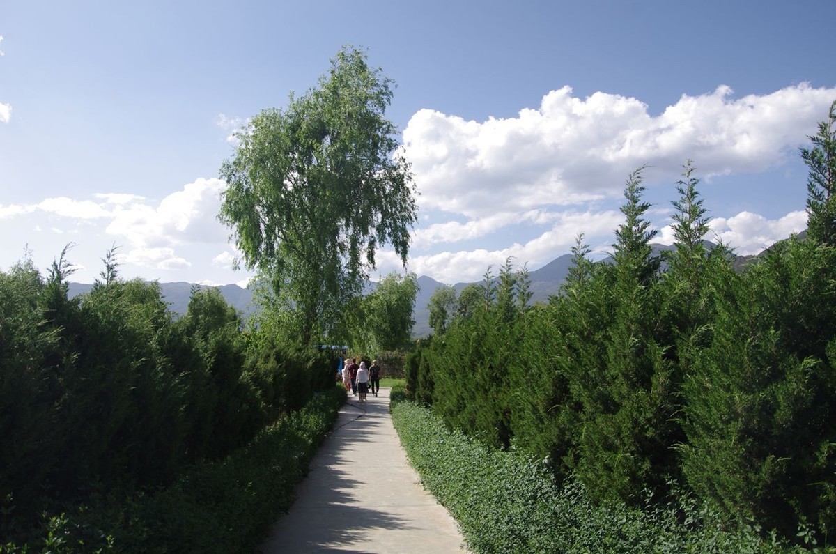 拉市海湿地公园