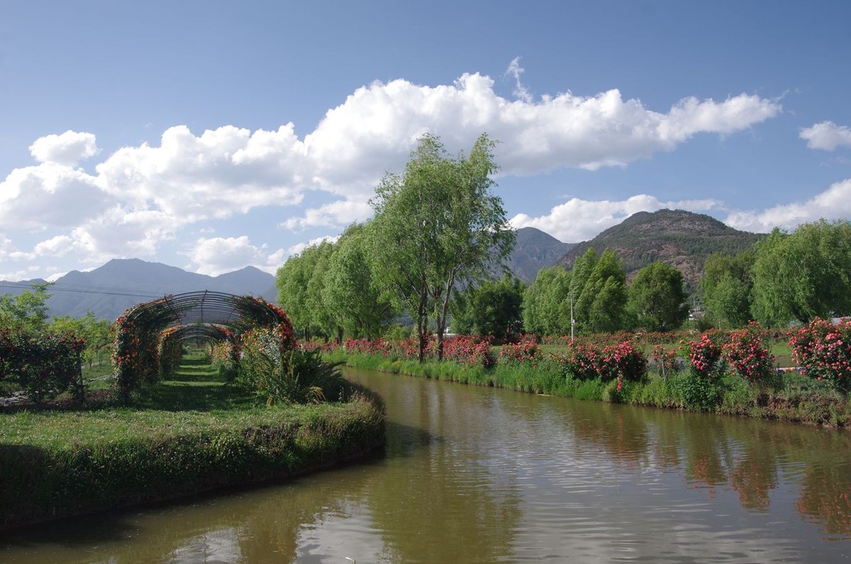 拉市海湿地公园