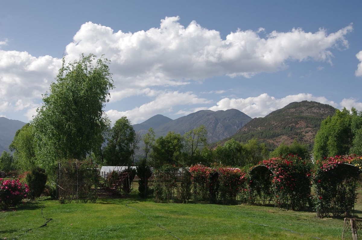 拉市海湿地公园